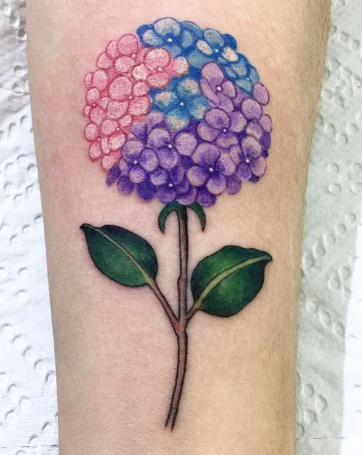 Colorful Hydrangea Flower Acceptable Tattoo 