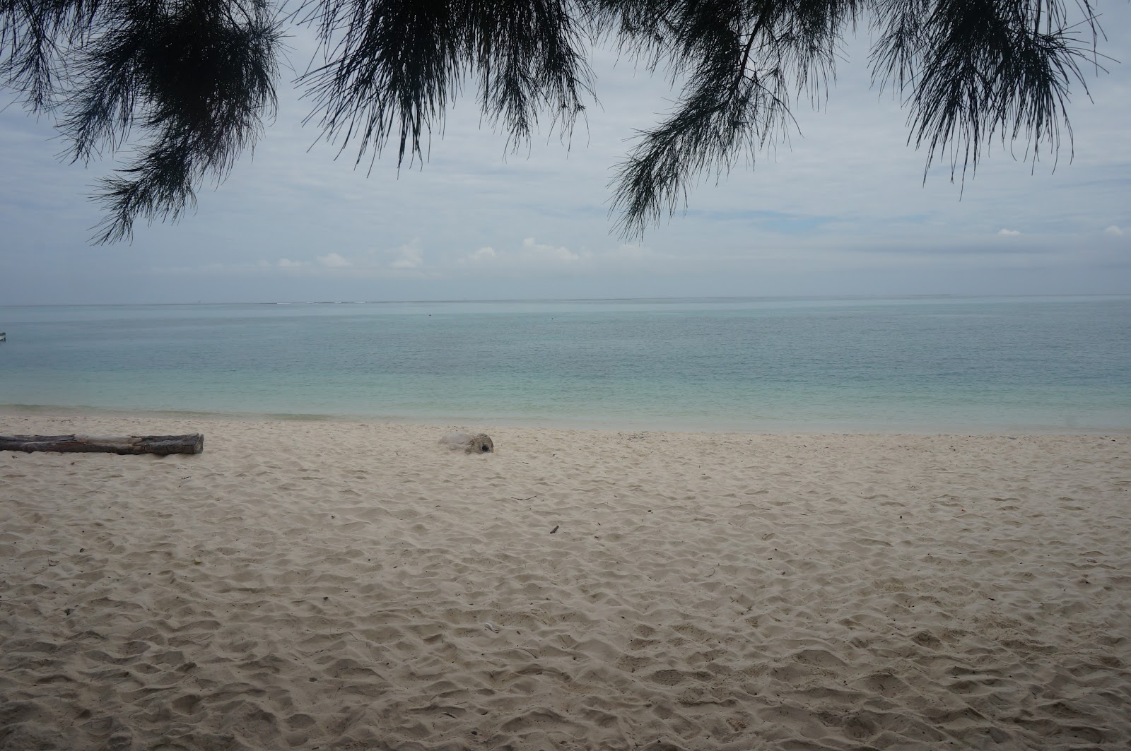 DSC08488.JPG