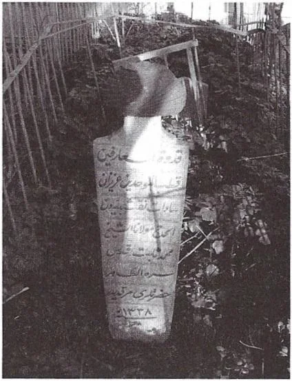 F:\wd yedek\acr yedek\arşiv\aa son kitap klasör\büyük amiş\media\image5.jpeg