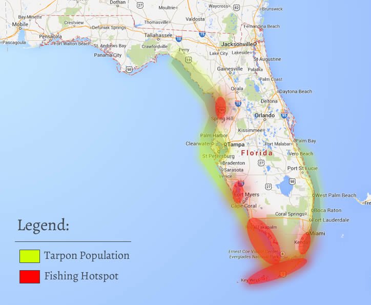 Florida Tarpon Fishing Location Heatmap