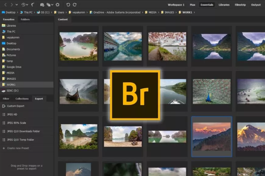 Best Photo Management Software; Adobe Bridge 