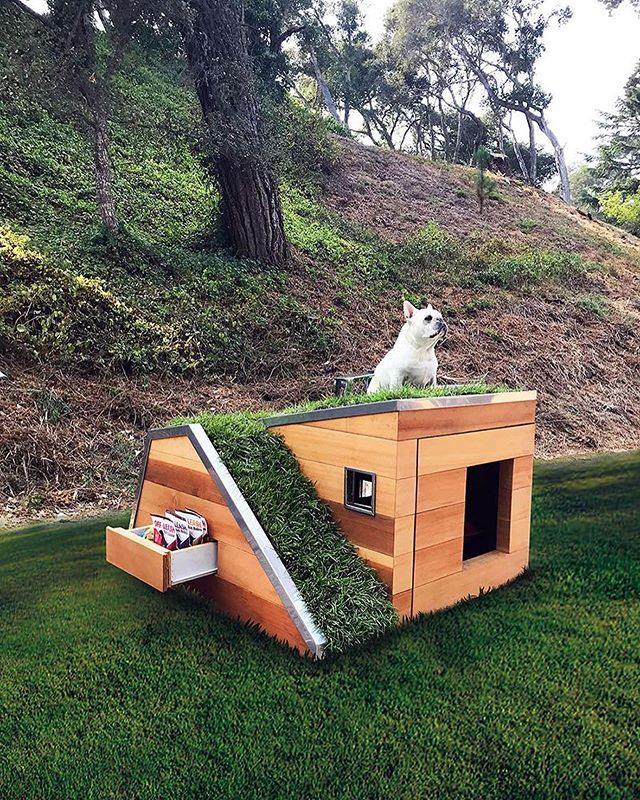 dog house plans