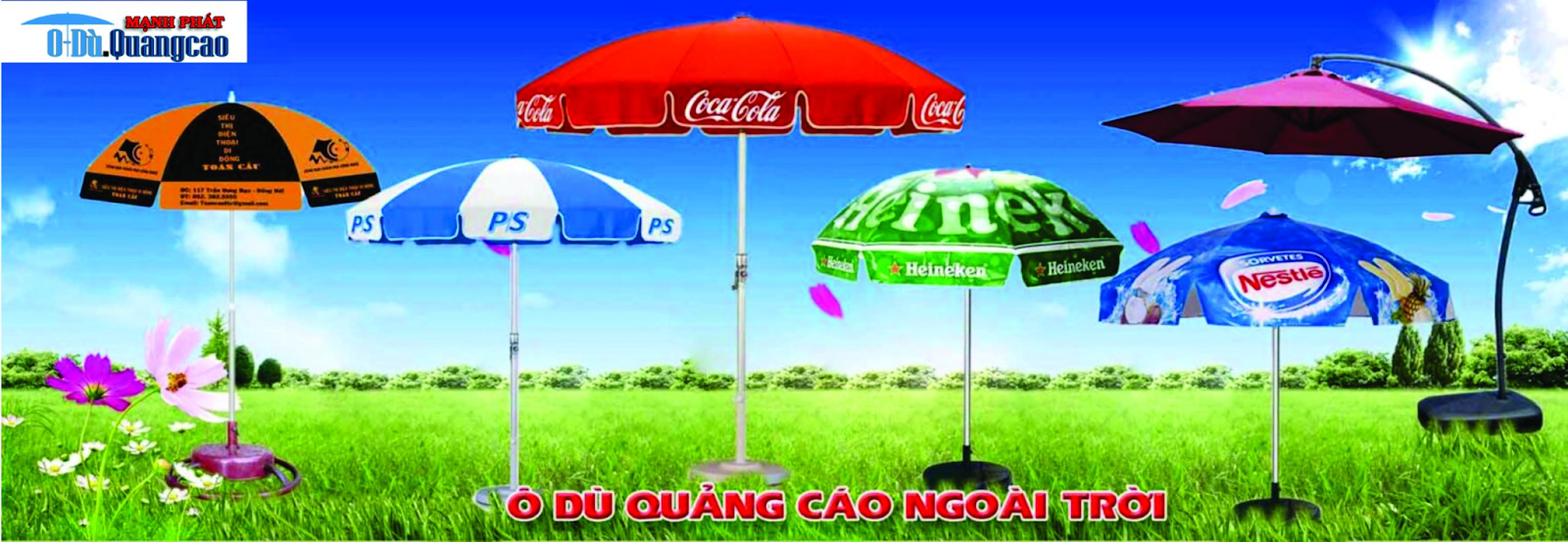 Có thể đến web oduquangcaovn để tham khảo đặt ô chất lượng