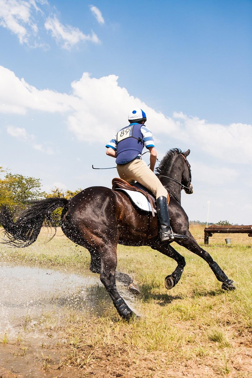 Eventing rider galloping on a dark bay horse adopts a half seat position.
