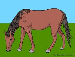Image result for horse picture to draw