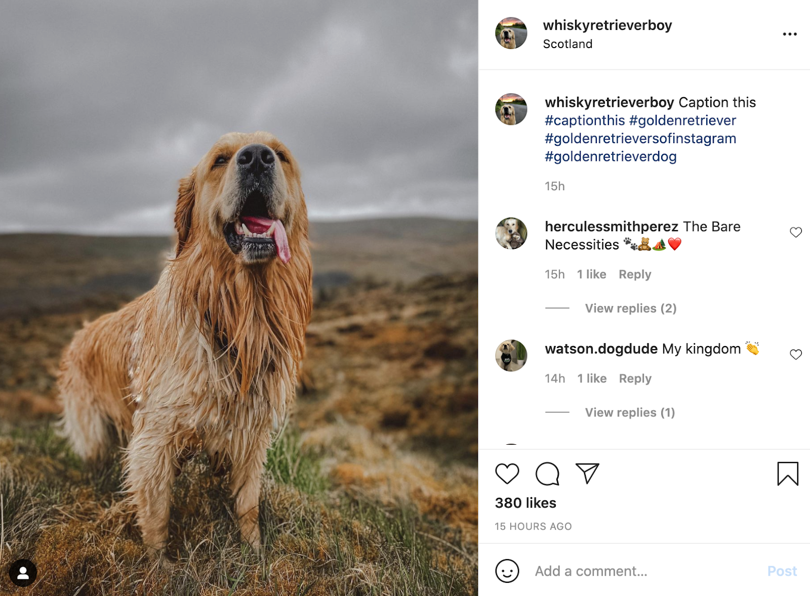 instagram captions to get more comments