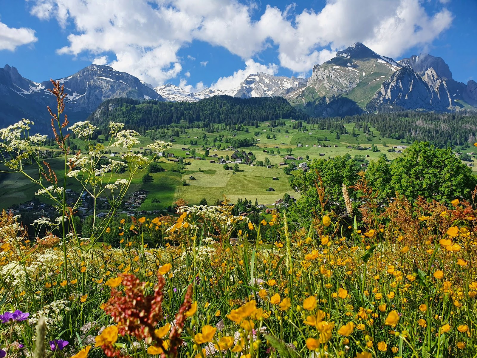Best spring hikes in Switzerland 11