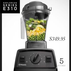Vitamix Explorian E310
