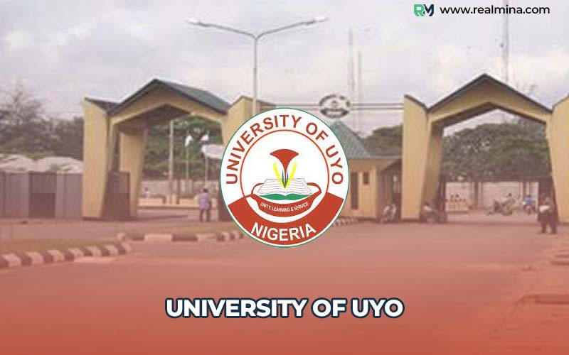 universities offering Business Administration