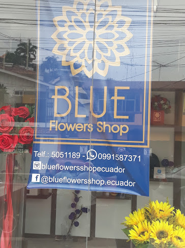 Blue Flowers Shop - Floristería