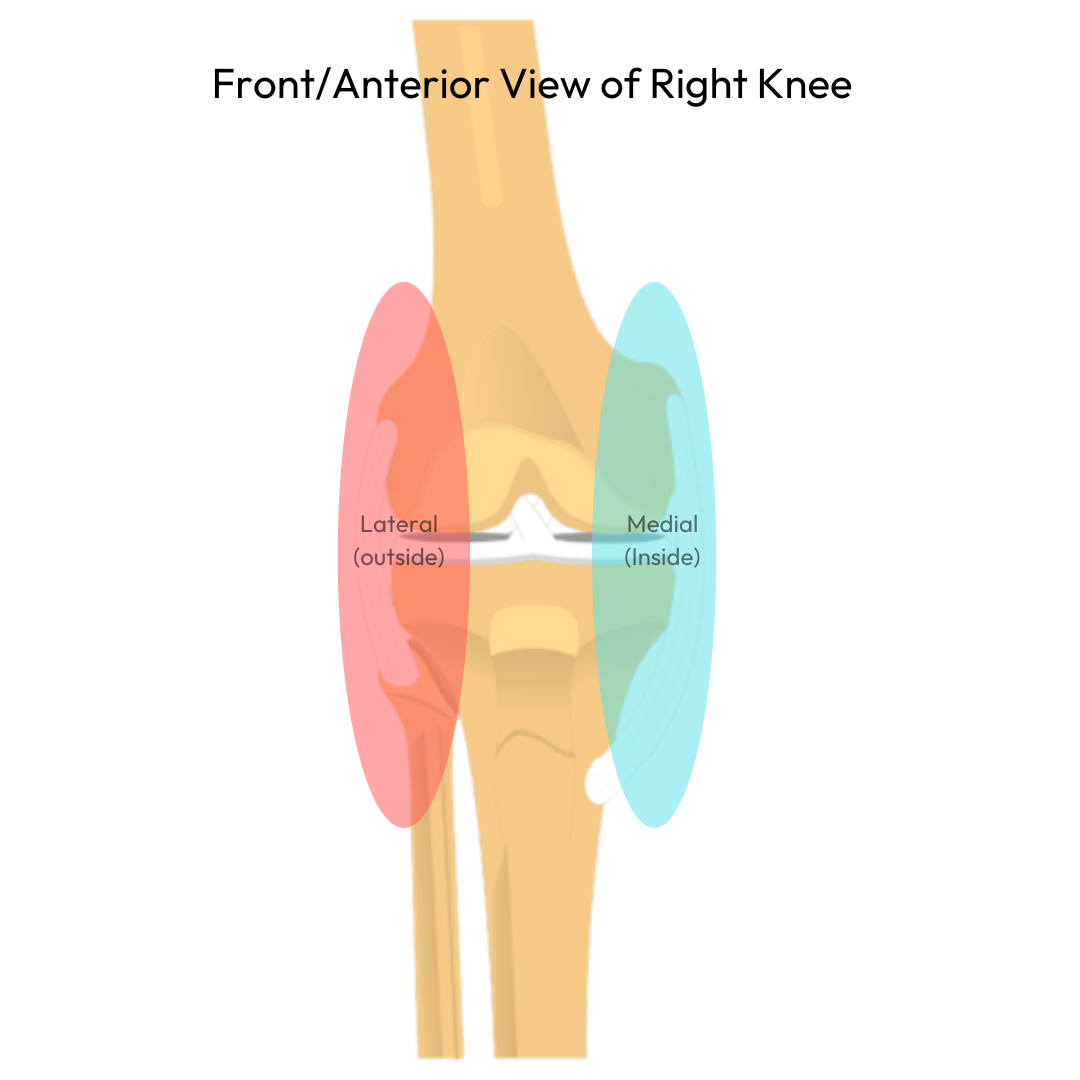 Inside and Outside of the Knee