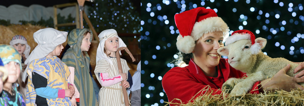 Christmas festivities at Pennywell farm attraction.