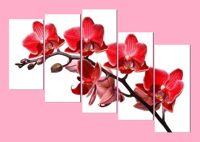 Mẫu tranh treo tường ngày Tết ý nghĩa
