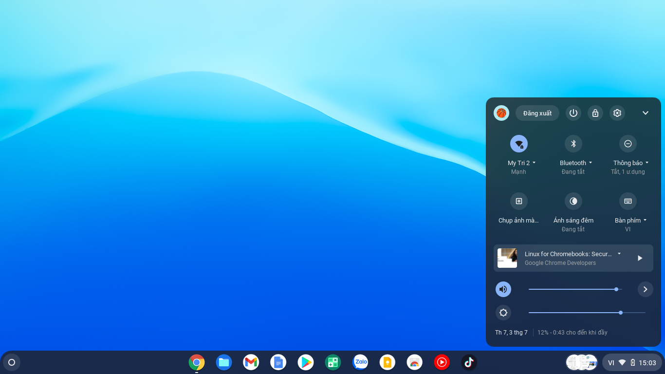chrome os