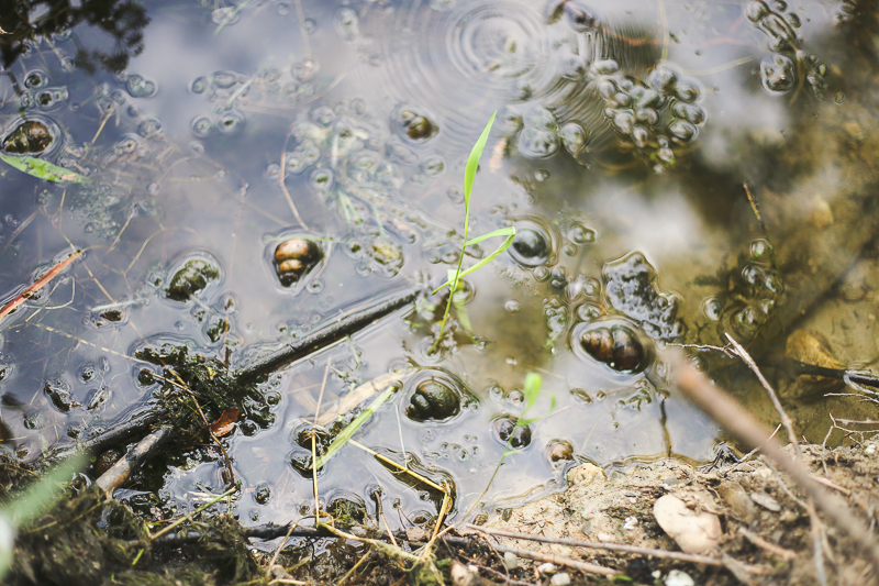 Tweefontein Herb Farm + Hiking in Mohonk Preserve