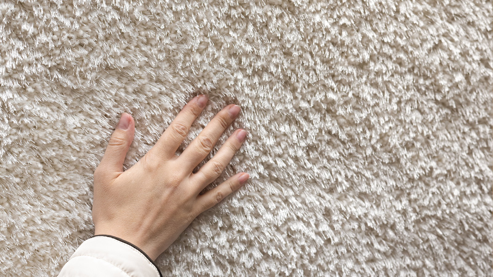 dirty things that hide in your carpet