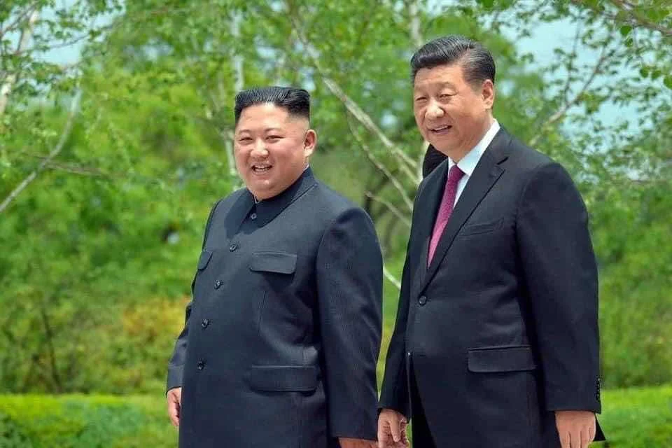 CHÓ VÀ NGƯỜI