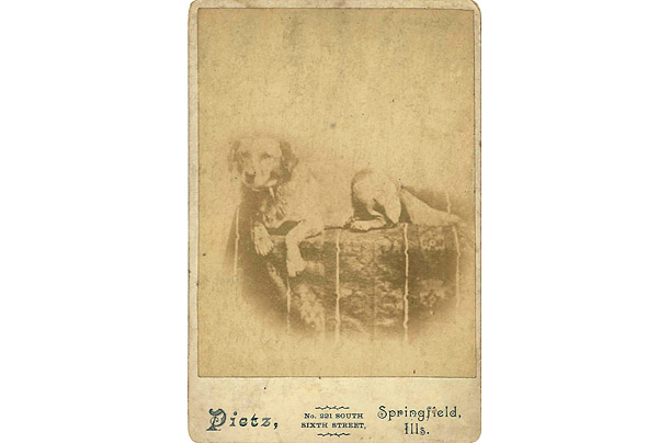 This floppy-eared rough-coated dog of unknown ancestry lived with Lincoln in Springfield, Ill., for the five years before he became President.