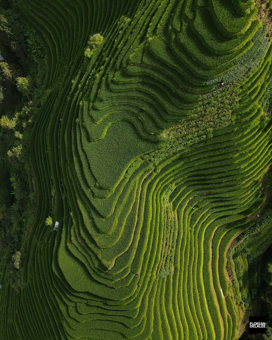Aerial Shot of Landscapes in China