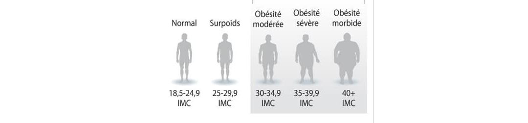 Obésité IMC