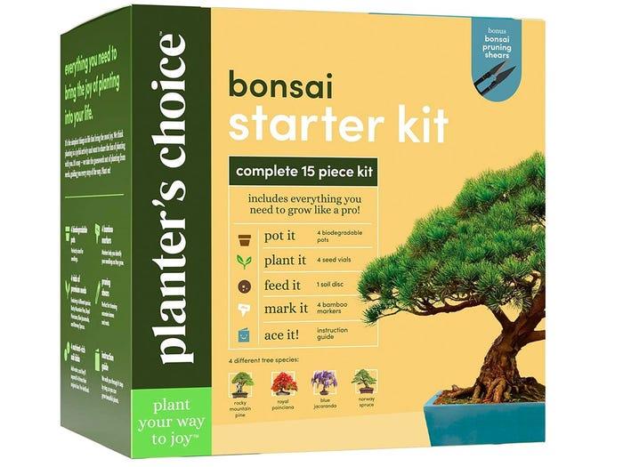 Bonsai Starter Kit