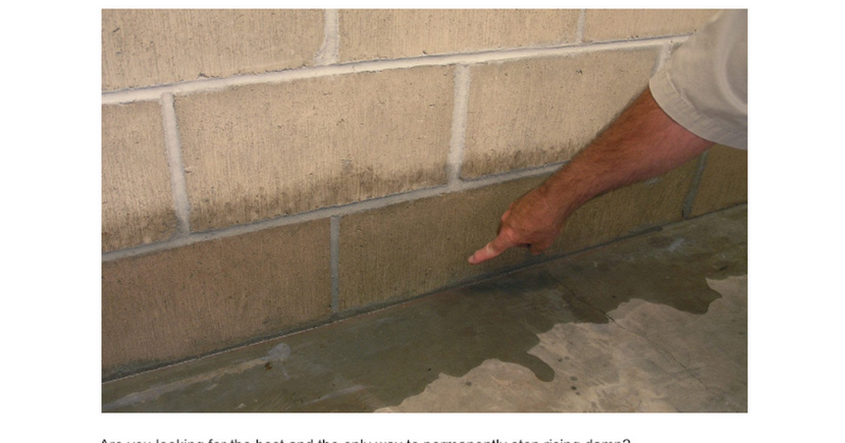 Basement Waterproofing Near Me - Google Docs