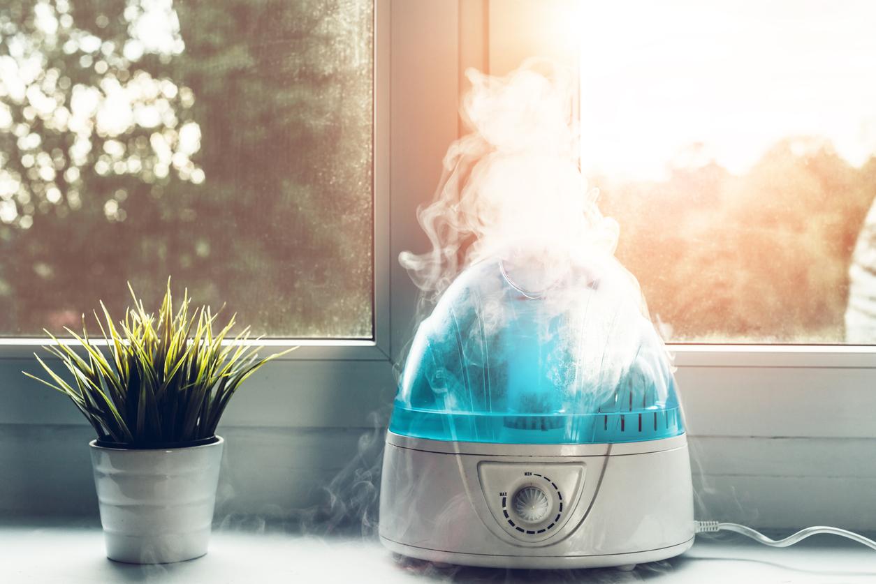 What Are the Benefits of a Humidifier for Your Home? - Molekule Blog