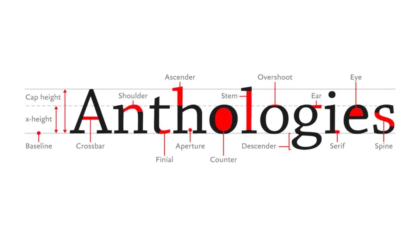 "anthologies" word with typeface anatomy
