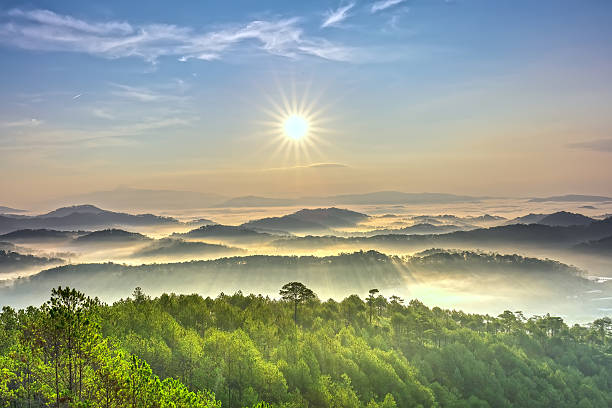 anh hoa da lat