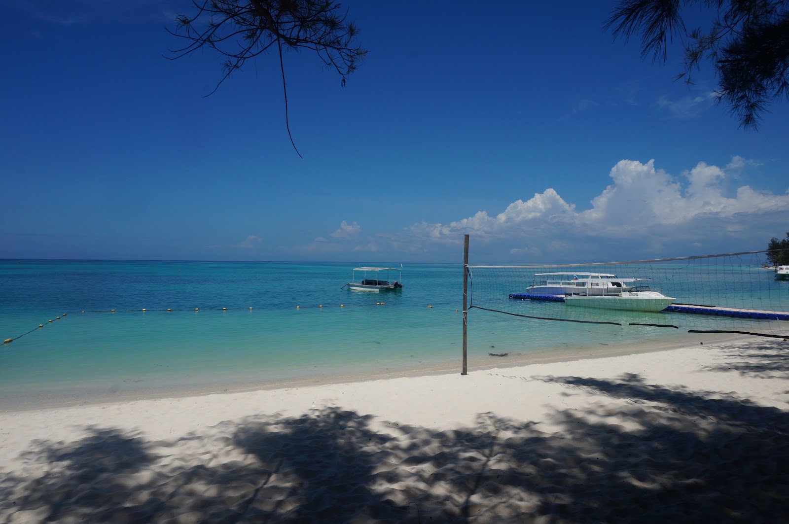 DSC08535.JPG