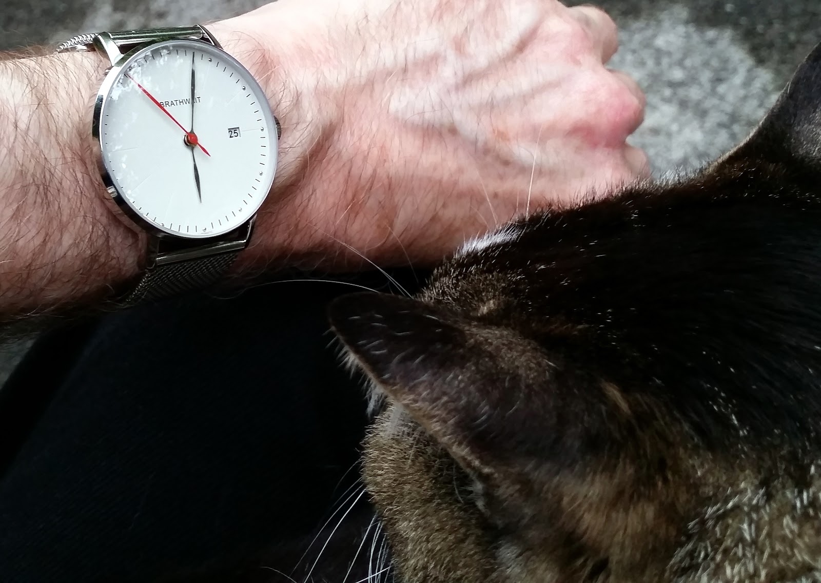tempel veeg Korst A Better Wrist: Brathwait Automatic Minimalist Watch: Buy It