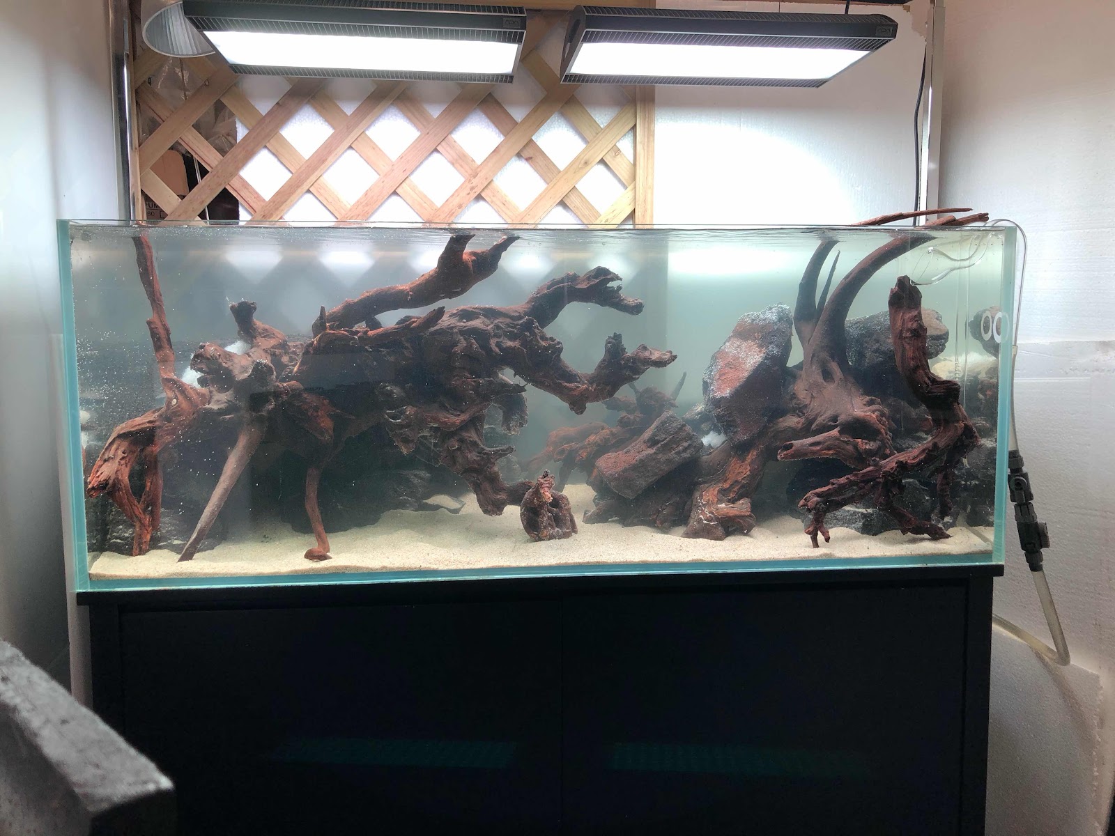 アクアテイク ｅ ブログ 世界水草レイアウトコンテスト応募作ご紹介 上野