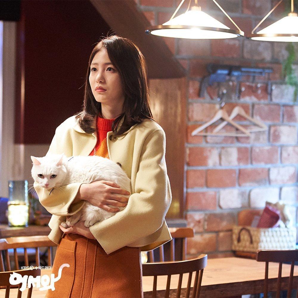 Photos] New Stills Added for the Korean Drama 'Meow, The Secret Boy' @  HanCinema