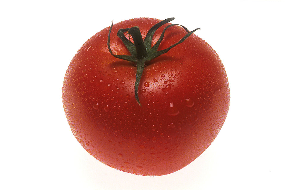 A whole red tomato isolated on