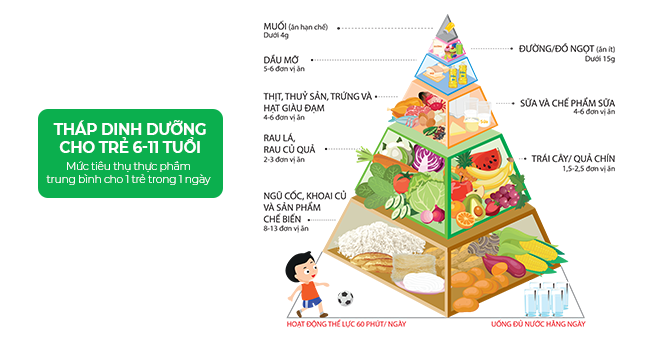 Tháp dinh dưỡng cho trẻ 6-11 tuổi được công bố bởi Bộ y tế - Viện dinh dưỡng Quốc Gia