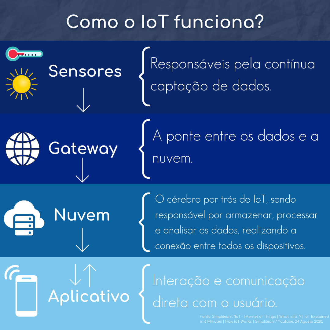 Sensação da internet: saiba como funciona Termooo, o 'jogo dos