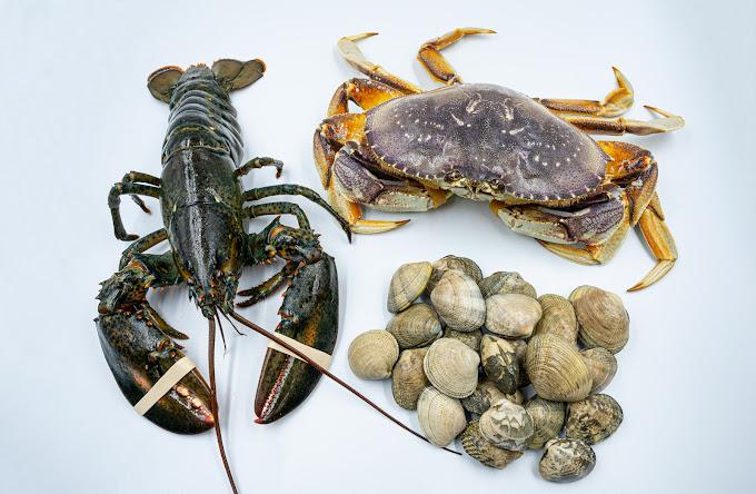 seafood supplier singapore