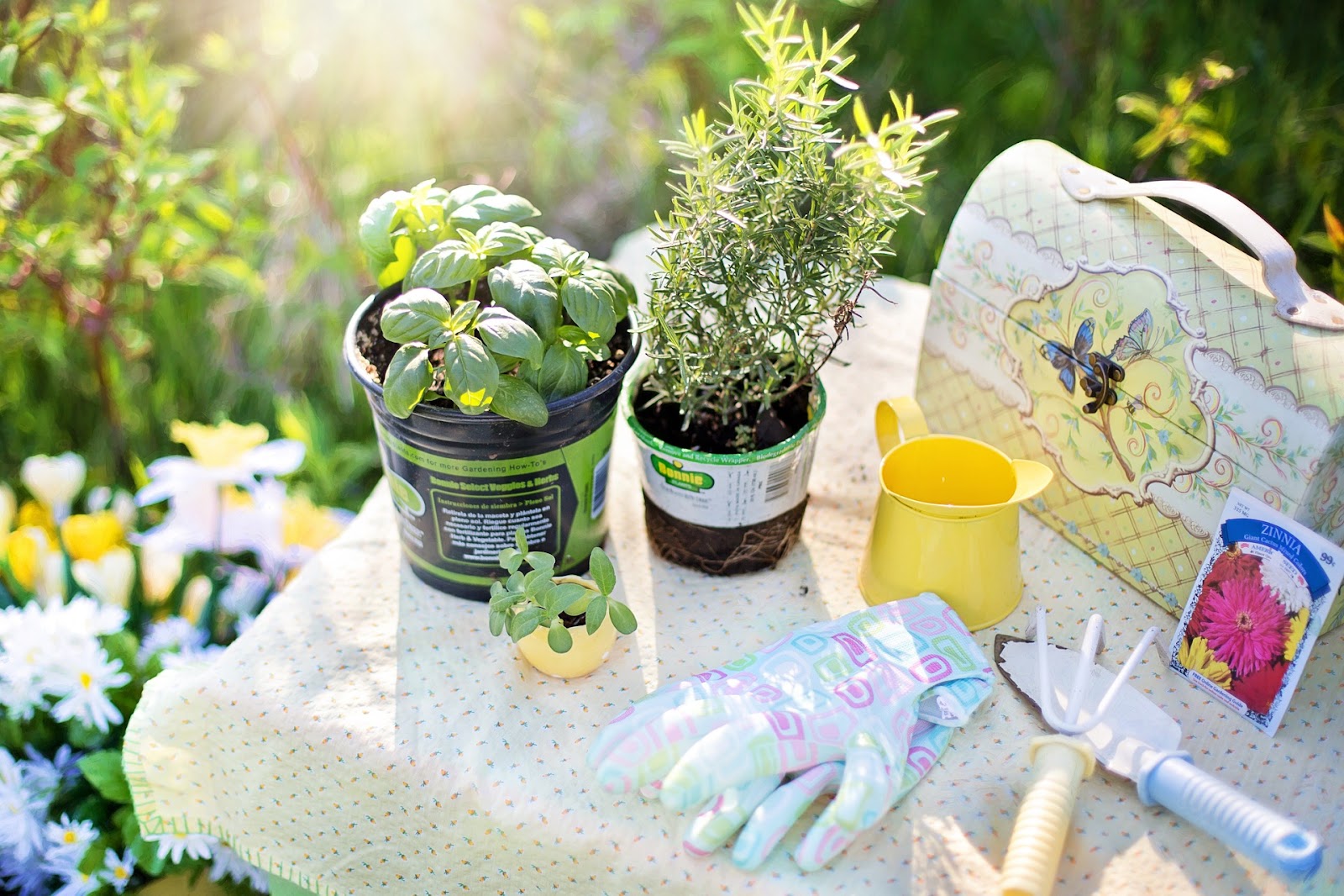 Herbs and gardening supplies