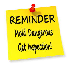 Reminder Mold is Dangerous get Inspection