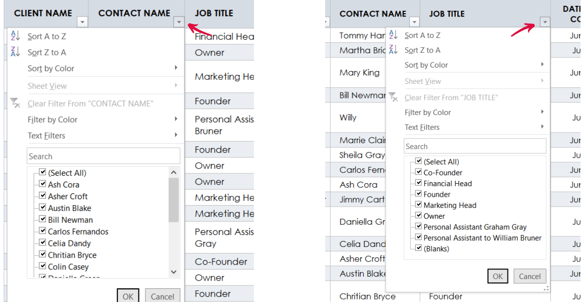 Client Financial management Spreadsheets | Image shows sheet example of sort  and filter