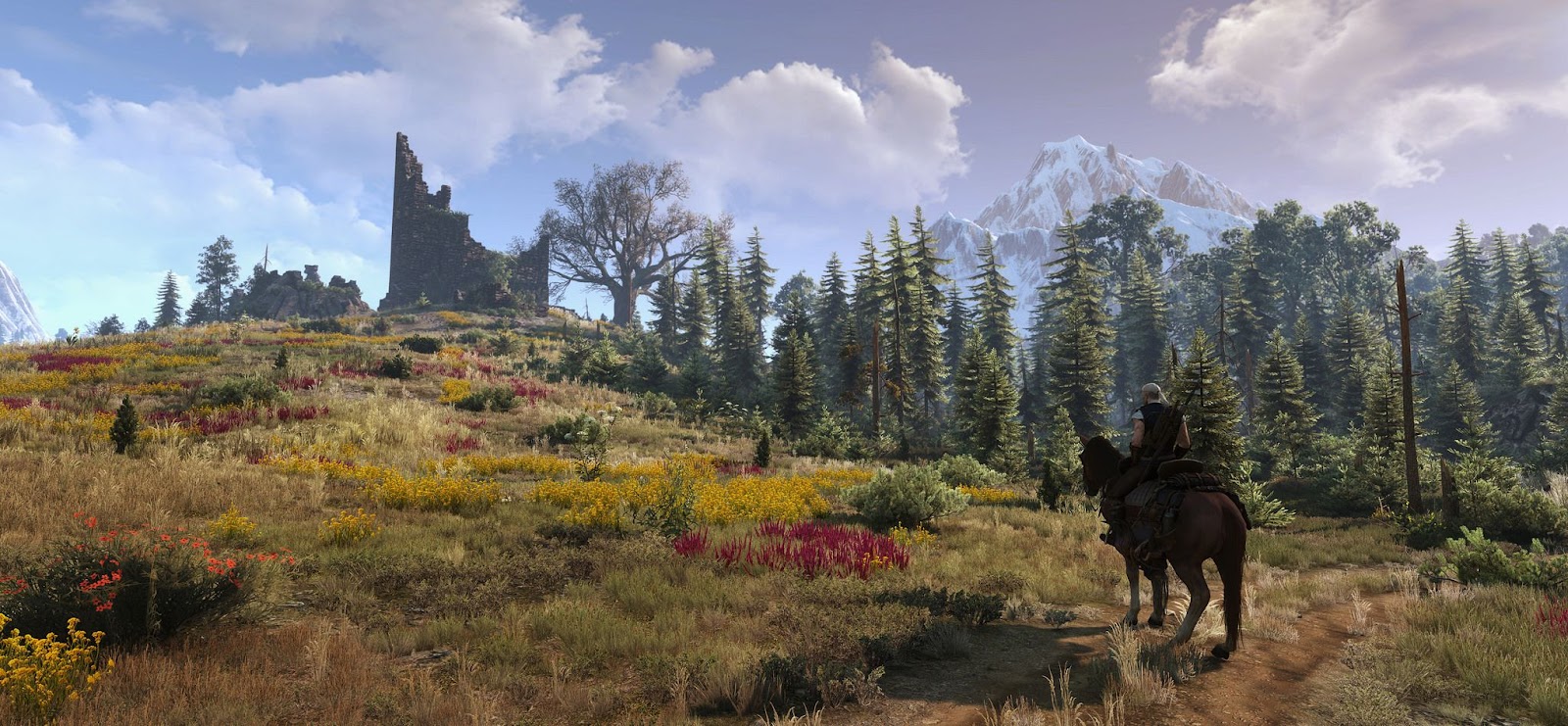 Vanilla Skyrim can't beat Witcher 3 in terms of graphical fidelity
