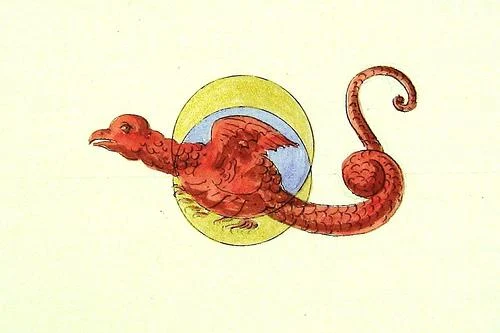 draco