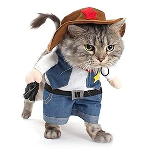 cowboy cat halloween costume