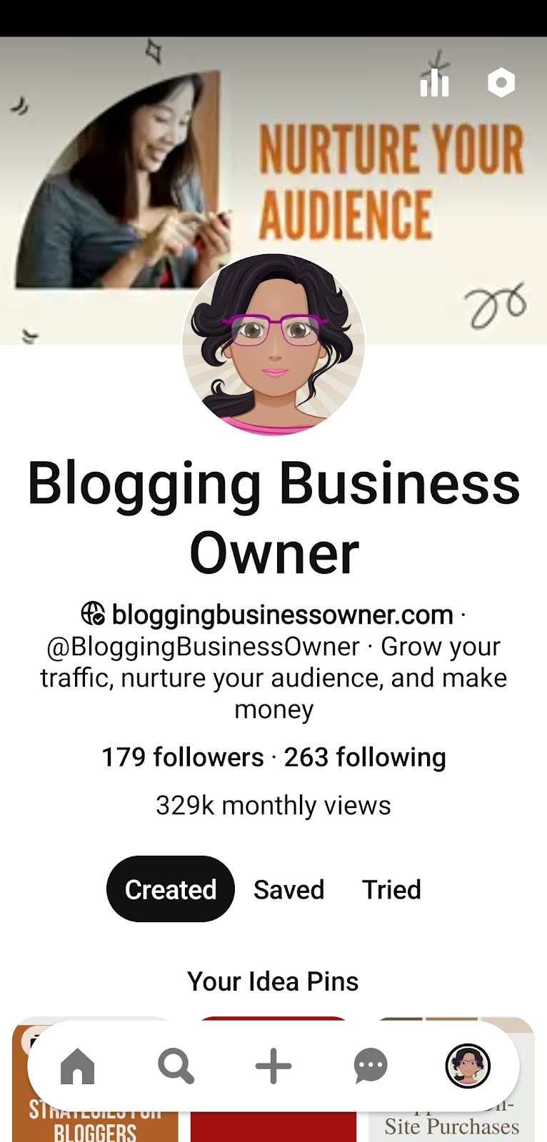 Blogging Business Owner Monthly Views