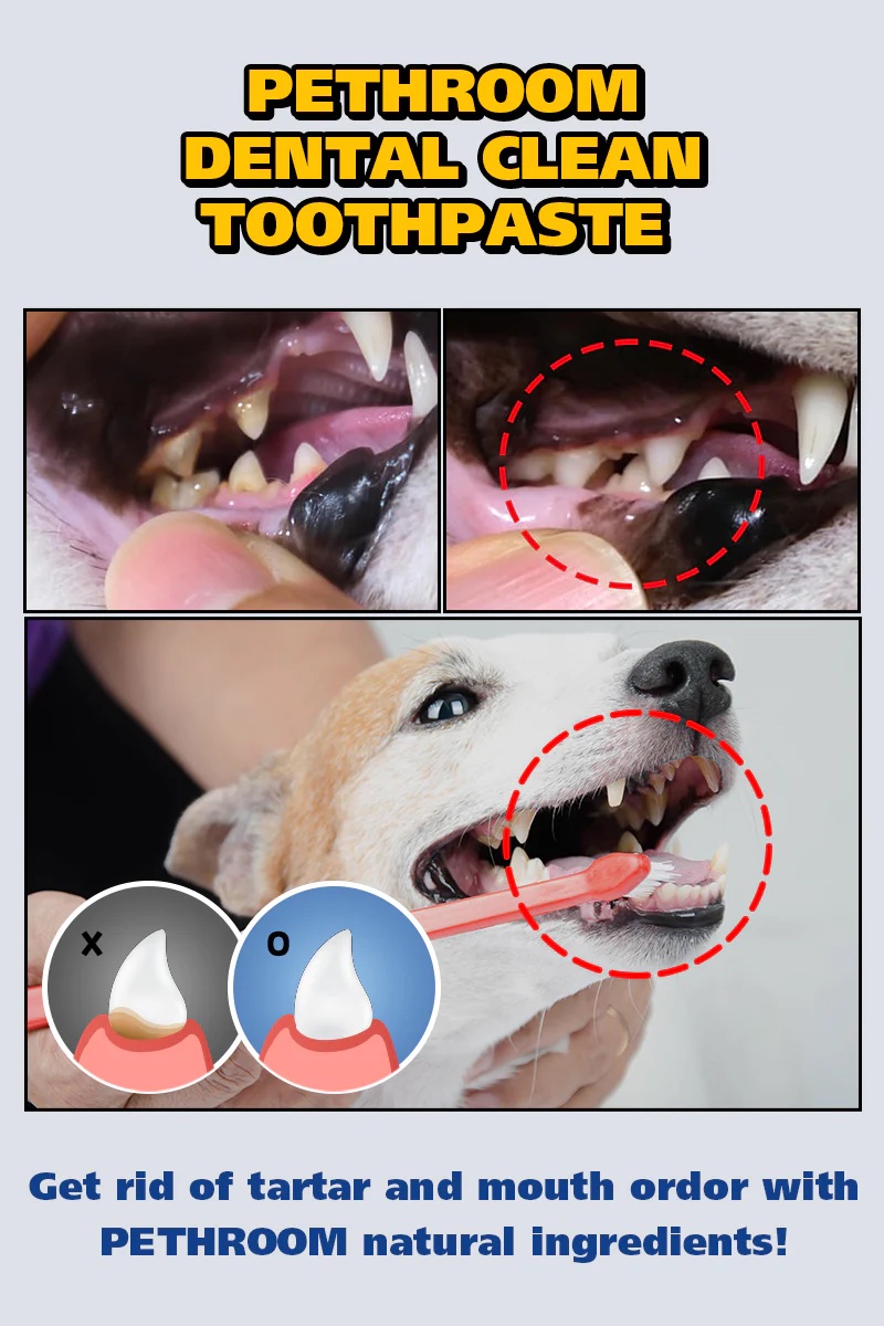 韩国 PETHROOM 宠物牙齿清洁牙膏 60g
