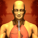 Universal Breathing: Pranayama apk