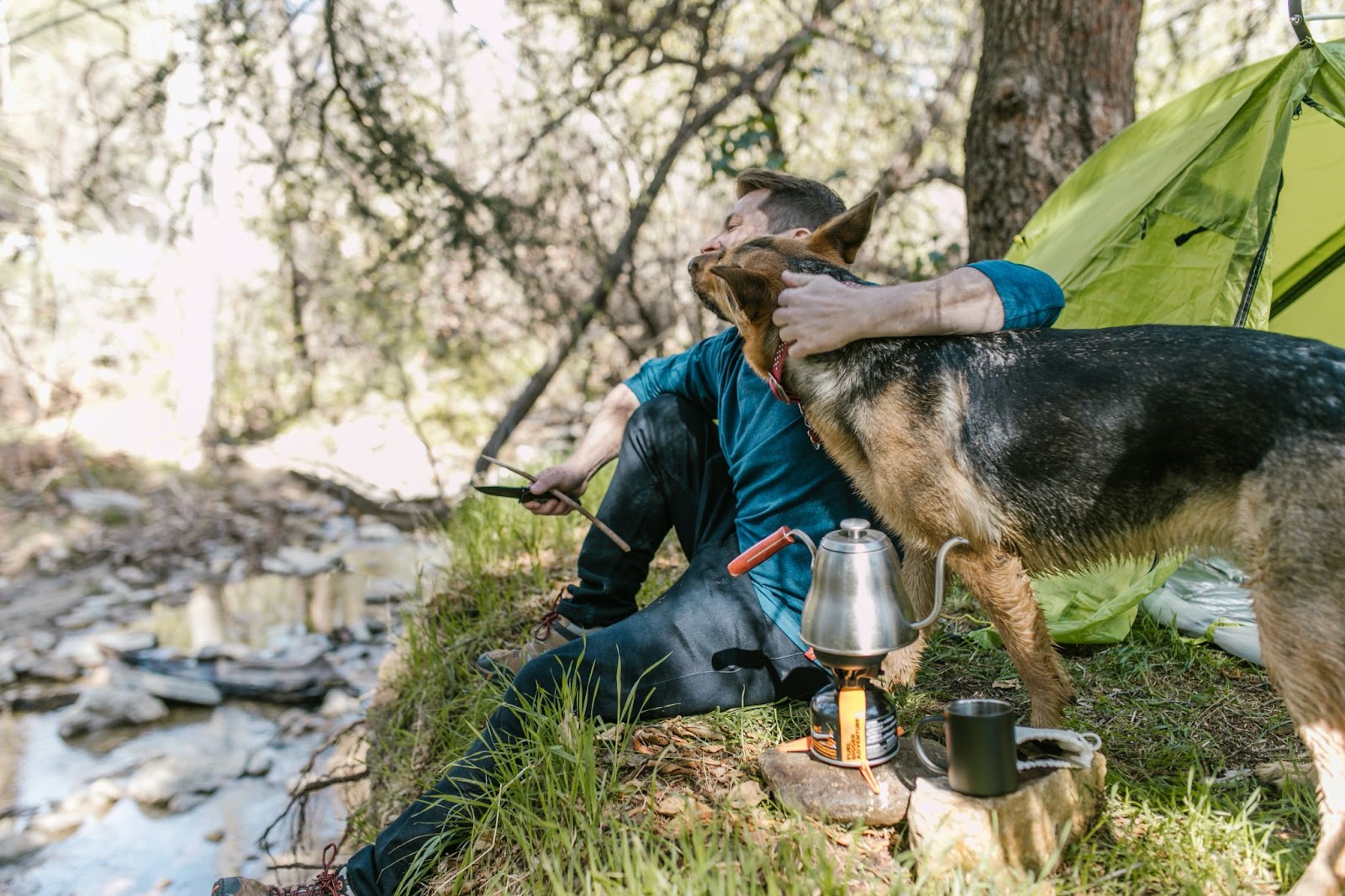 camping with dogs