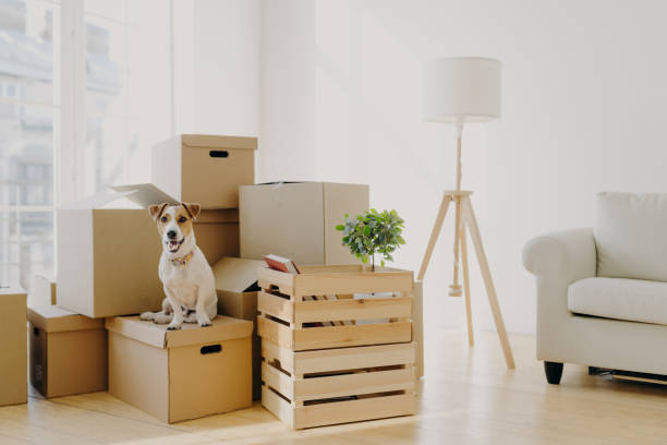 nashville household moving services, professional movers