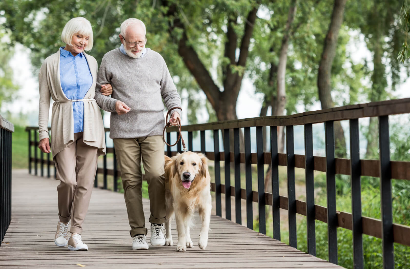 A senior woman and a senior man walking their dog in a park.