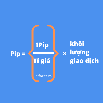 pip là gì